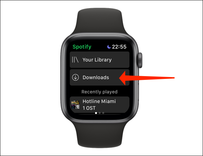 Toque em "Downloads" para verificar quais músicas ou podcasts foram baixados no aplicativo Apple Watch do Spotify.