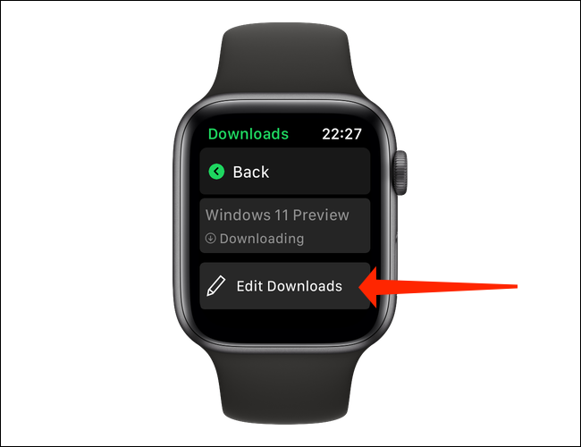 Na página "Downloads" do Spotify para Apple Watch, você pode tocar em "Editar Downloads" para interromper o download de qualquer um dos itens na fila ou remover um arquivo baixado do Apple Watch. 
