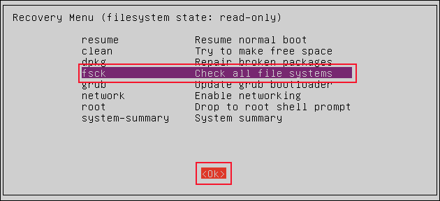 Menu de recuperação com fsck selecionado 