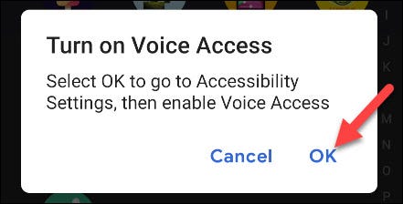 Conceda permissões de acessibilidade ao Voice Access.