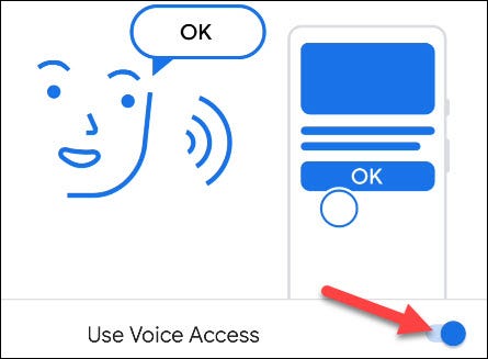 Alterne a chave para "Usar acesso por voz".
