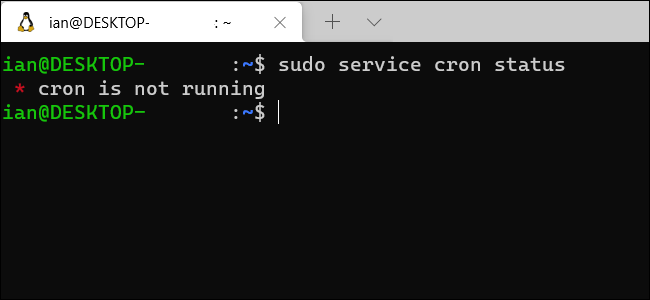 Uma janela de terminal WSL do Windows mostrando que o cron não está em execução. 