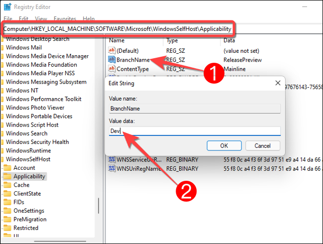 Clique duas vezes na chave "BranchName" no endereço de aplicabilidade e digite "dev" na caixa "Dados do valor".