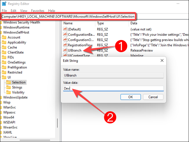 No endereço do Editor do Registro, clique duas vezes em "UIBranch" e digite "Dev" na caixa "Dados do valor".