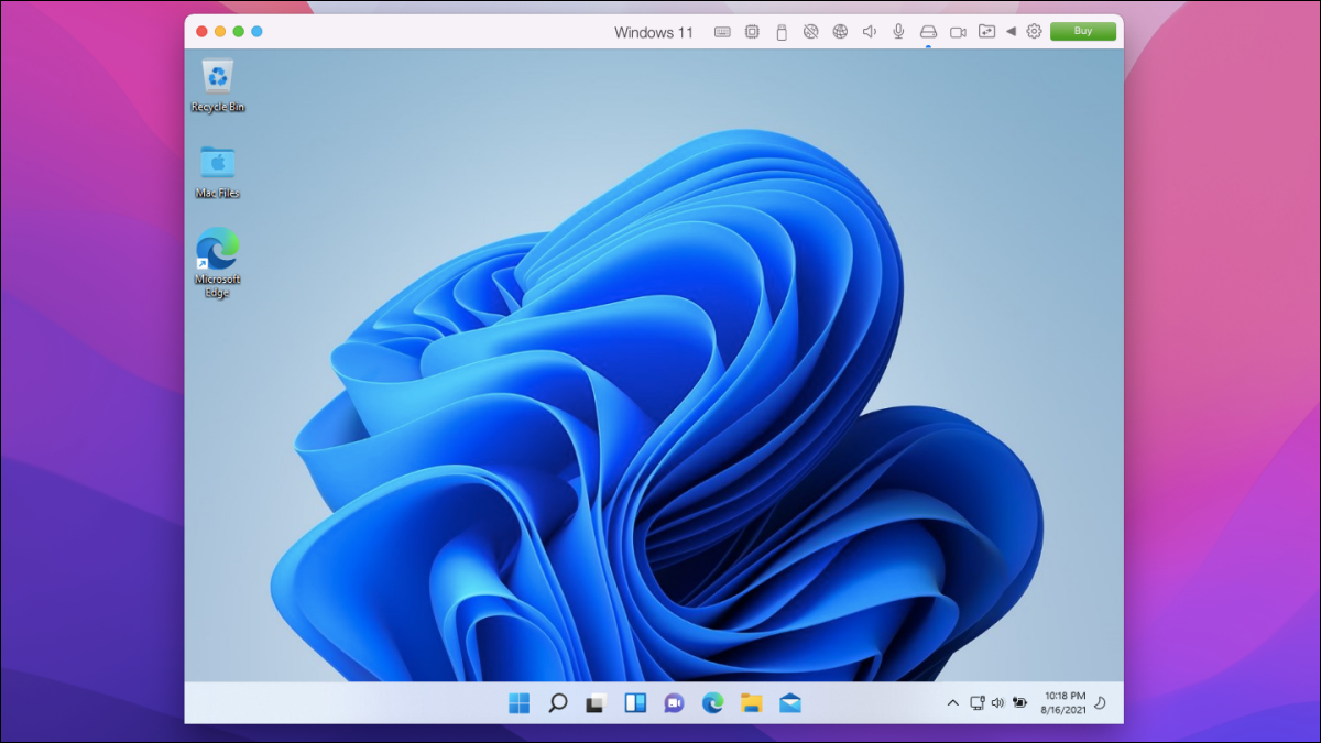 Windows 11 em execução em modo de janela no Mac