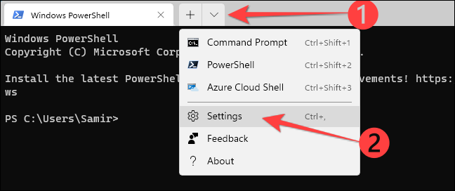 Abra as configurações do terminal do Windows com Ctrl +, atalho.