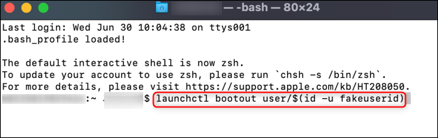 Execute o comando de usuário de inicialização launchctl.