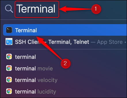 Procure por "Terminal" em Busca do Spotlight e pressione "Retornar".