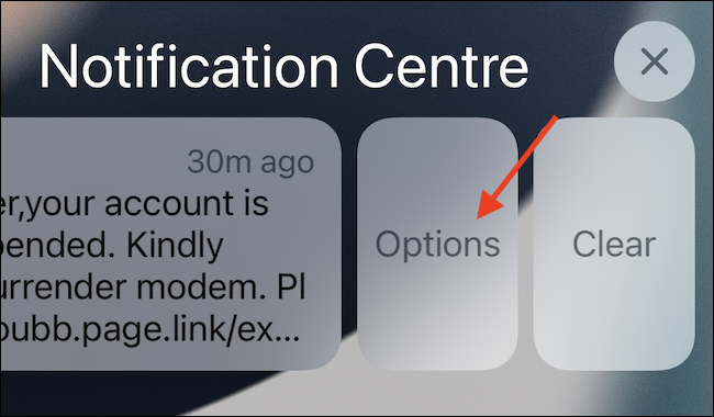 Após deslizar, toque no botão "Opções" para obter as opções para essa notificação.