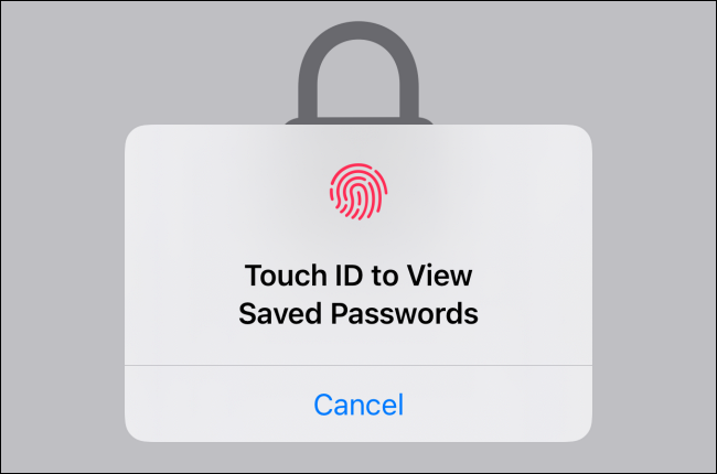 Use Face ID ou Touch ID para acessar e visualizar as senhas salvas.