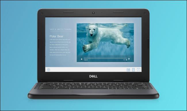 Dell Chromebook 3100