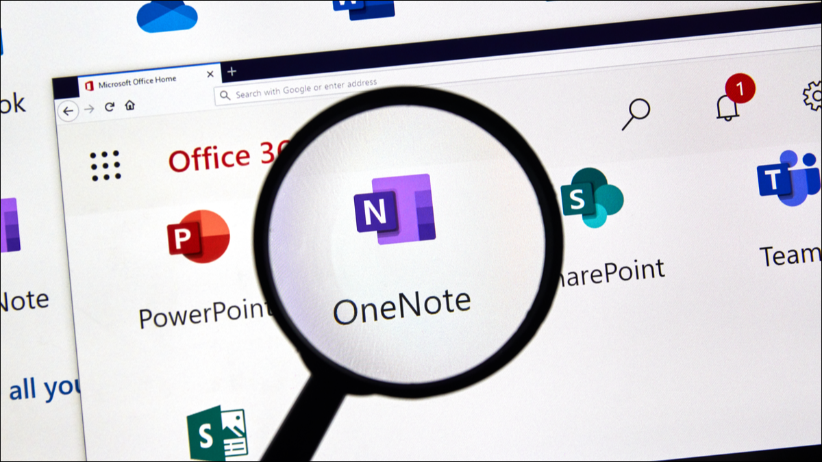 Logotipo do OneNote com lupa