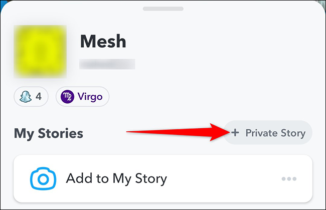Toque em "História privada" na página de perfil do Snapchat.