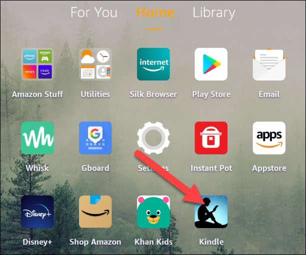 Abra o aplicativo Kindle.