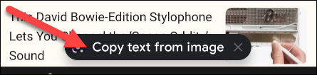 Selecione "Copiar texto da imagem".