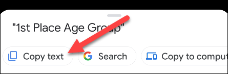Toque em "Copiar texto".