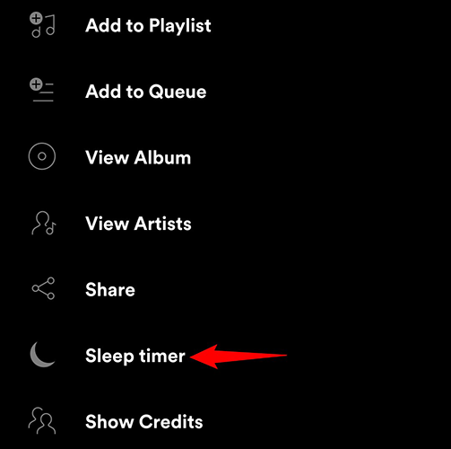 Toque em "Sleep Timer" no menu de três pontos do aplicativo Spotify.