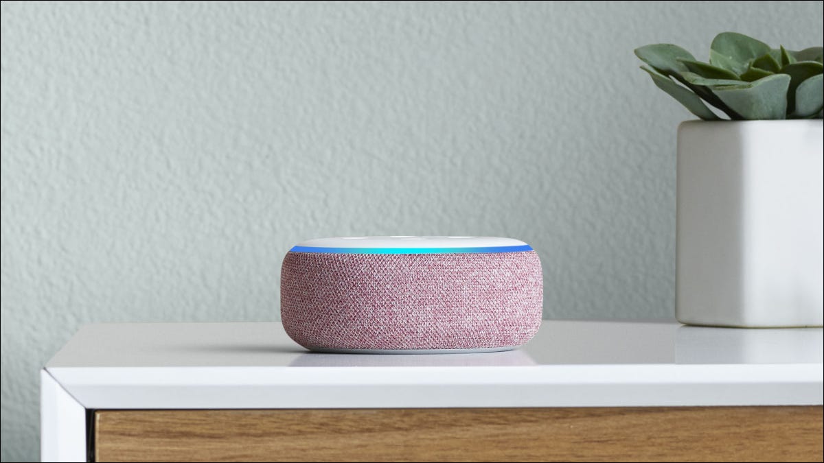 Plum echo dot na mesa de cabeceira