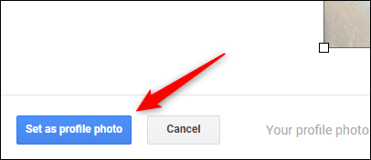 Clique no botão "Definir como foto do perfil".