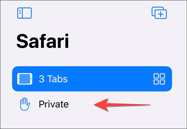 Toque em "Privado" para mudar para um modo de navegação privada e abrir uma nova guia privada.