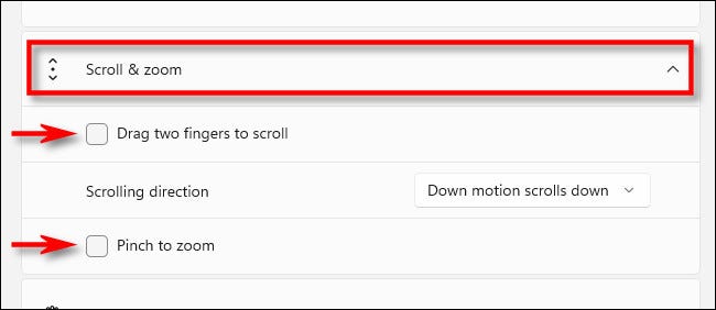 Em Scroll & Zoom, desmarque "Arraste dois dedos para rolar" e "Pinch to Zoom".