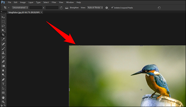 Uma imagem na interface principal do Photoshop.