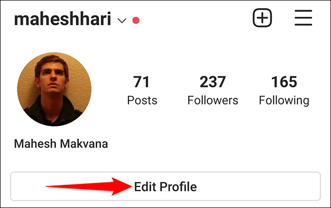 Toque em "Editar Perfil" na página de perfil do aplicativo Instagram.