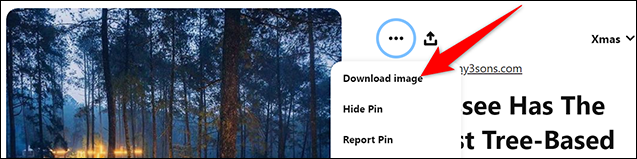 Selecione "Baixar imagem" no menu de três pontos para uma imagem no Pinterest.