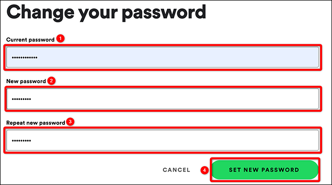 Digite a senha antiga e a nova e clique em "Definir nova senha" no Spotify.
