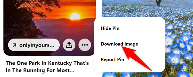 Selecione "Baixar imagem" no menu de três pontos no Pinterest.