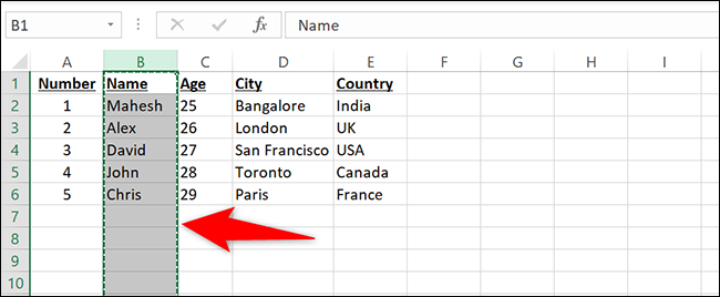 Uma linha pontilhada animada ao redor de uma coluna no Excel.