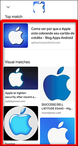 Resultados de pesquisa reversa de uma imagem no Google Chrome.