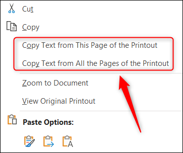 As opções para copiar texto de uma ou todas as páginas.