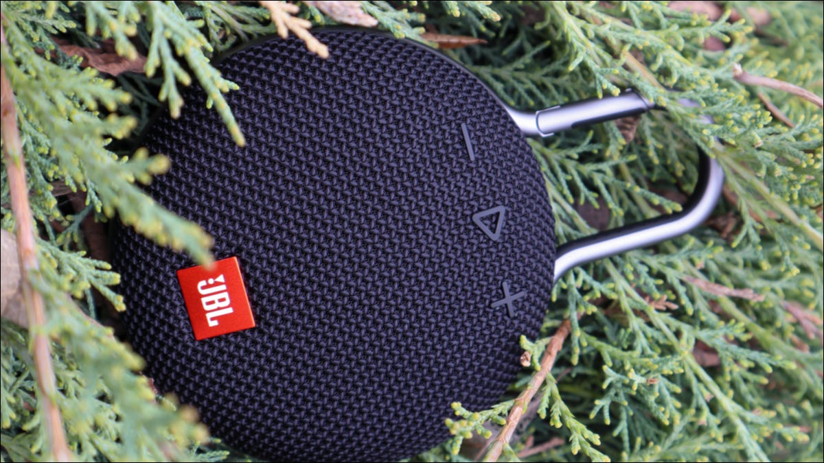 JBL Clip surrounded by evergreen leaves
