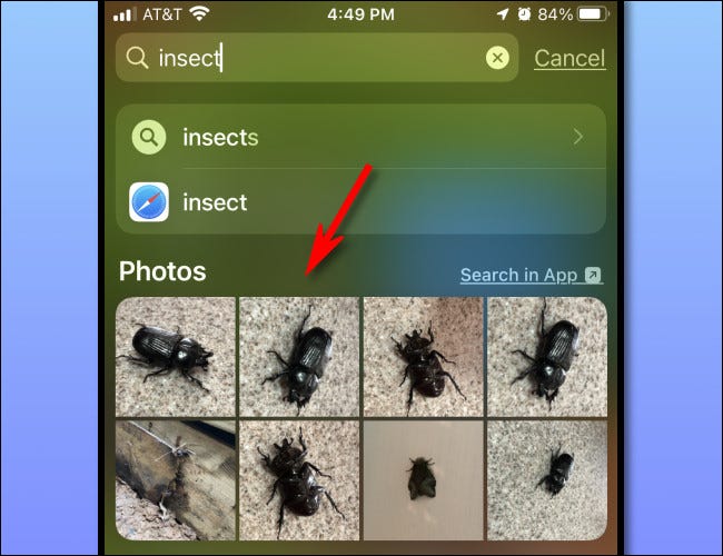 Um exemplo de miniaturas de fotos exibidas nos resultados da Pesquisa Spotlight no iPhone.