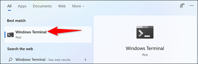 Clique em “Windows Terminal” na pesquisa do menu “Iniciar”.