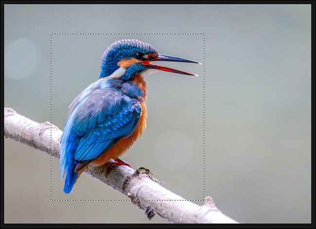 Selecione a área para virar uma foto no Photoshop.