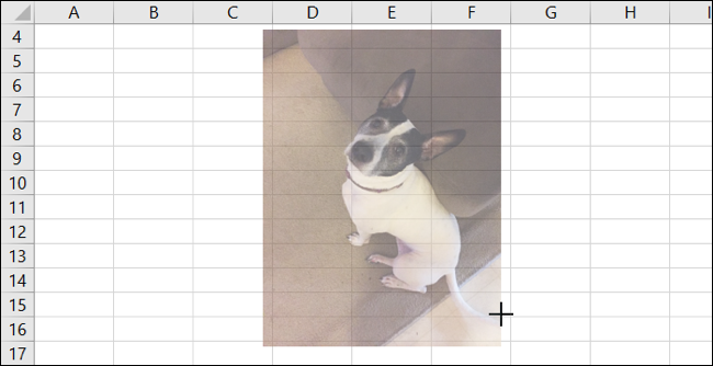 Redimensionar imagem no Excel