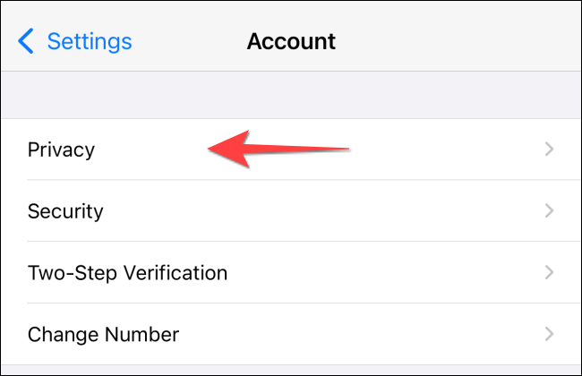 Selecione "Privacidade".