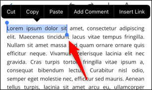 Selecione o texto que deseja destacar.