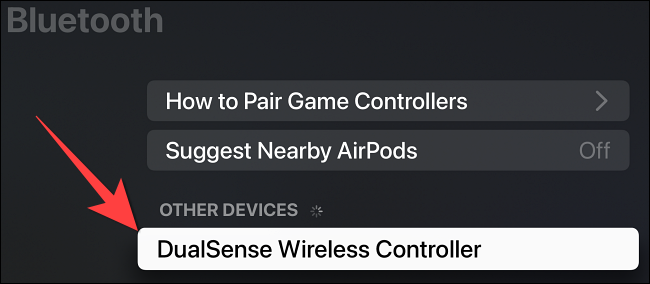 Selecione "DualSense Wireless Controller".