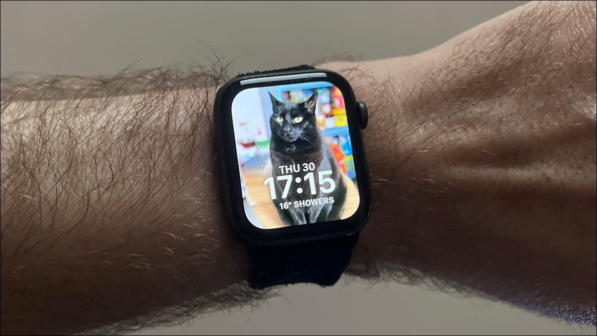 Um rosto do Apple Watch com um gato preto