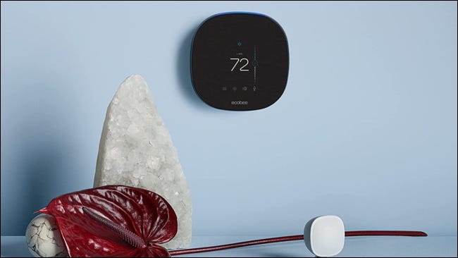 ecobee termostato na parede azul