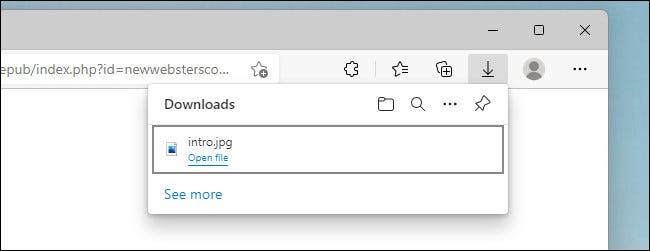 A lista de Downloads no Microsoft Edge.