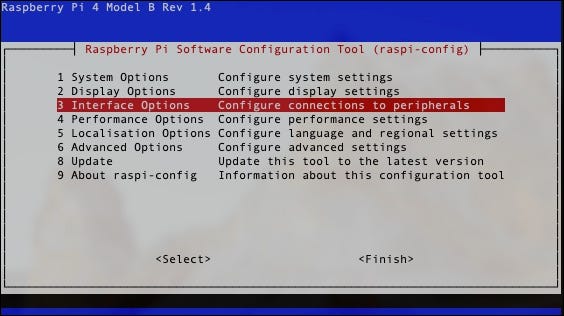 Selecione "Opções de interface" na configuração SSH
