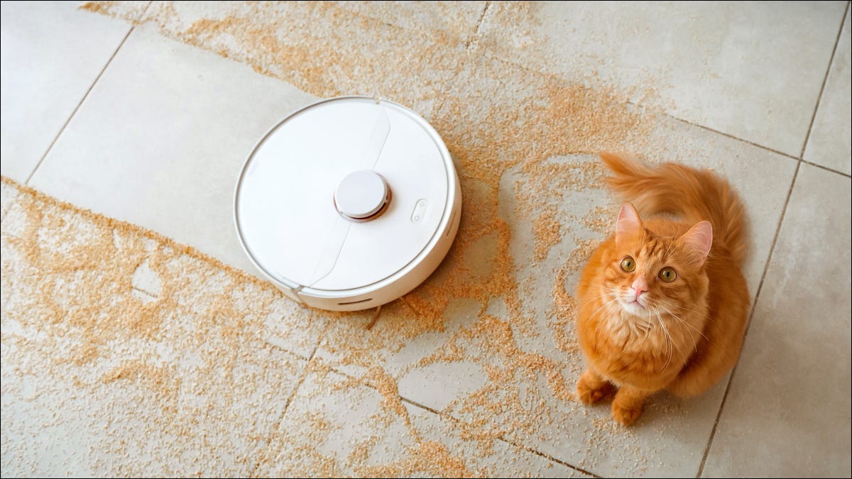 Aspirador de robô limpando o cabelo laranja ao lado de um gato sentado.