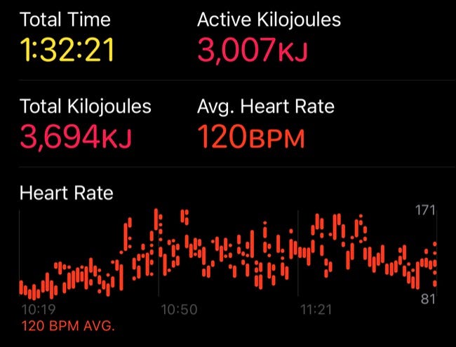 Dados de treino em Fitness no iPhone