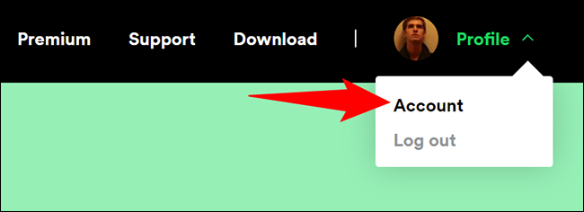 Clique em Perfil > Conta no site do Spotify.