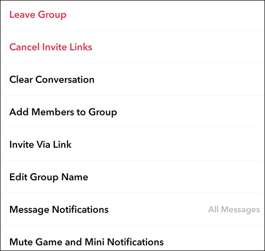 Snapchat mais opções de gerenciamento de grupo.