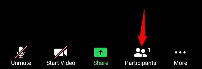 Toque em "Participantes" na parte inferior do Zoom.